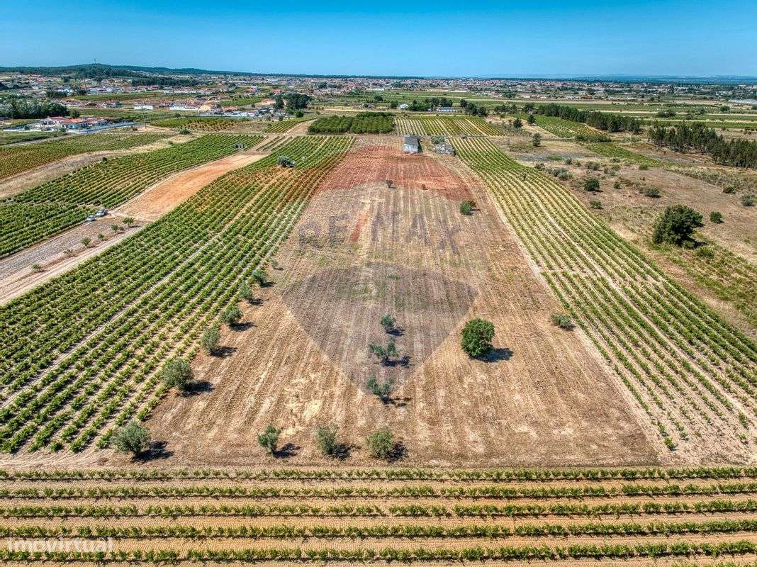 Armazém  para venda - Grande imagem: 5/31