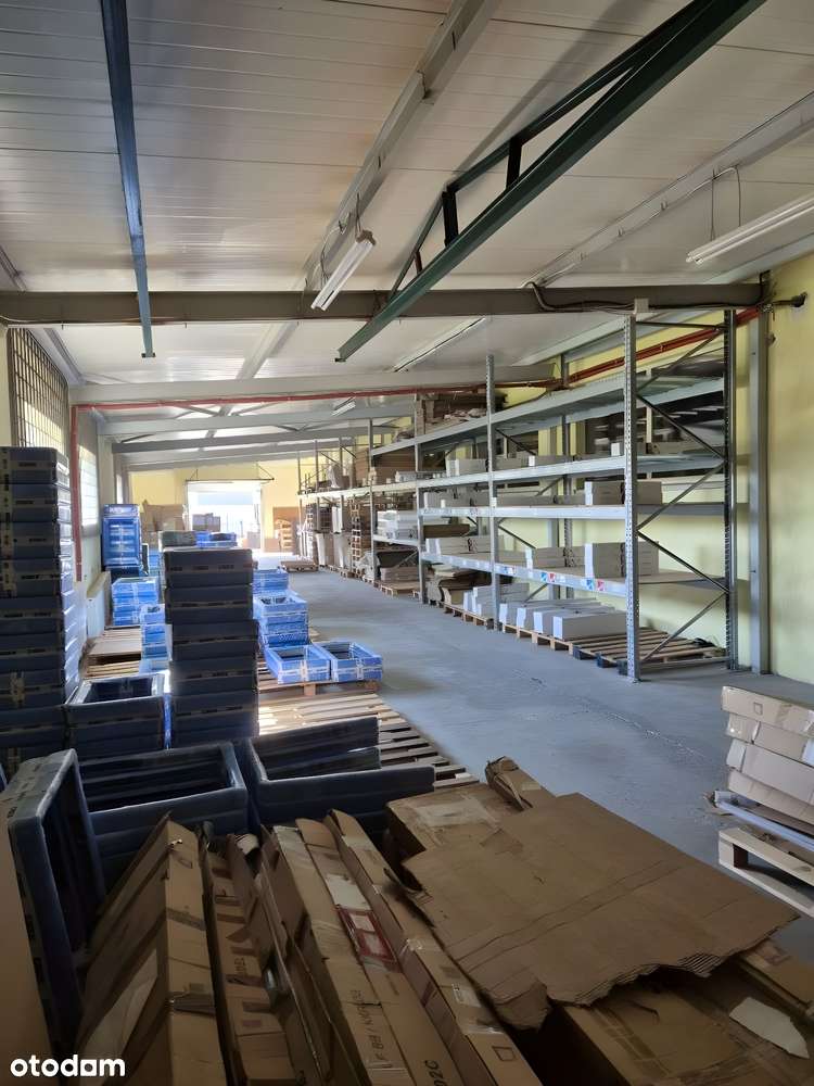 Hala magazynowa z zapleczem biurowym - Pełny obrazek: 5/18
