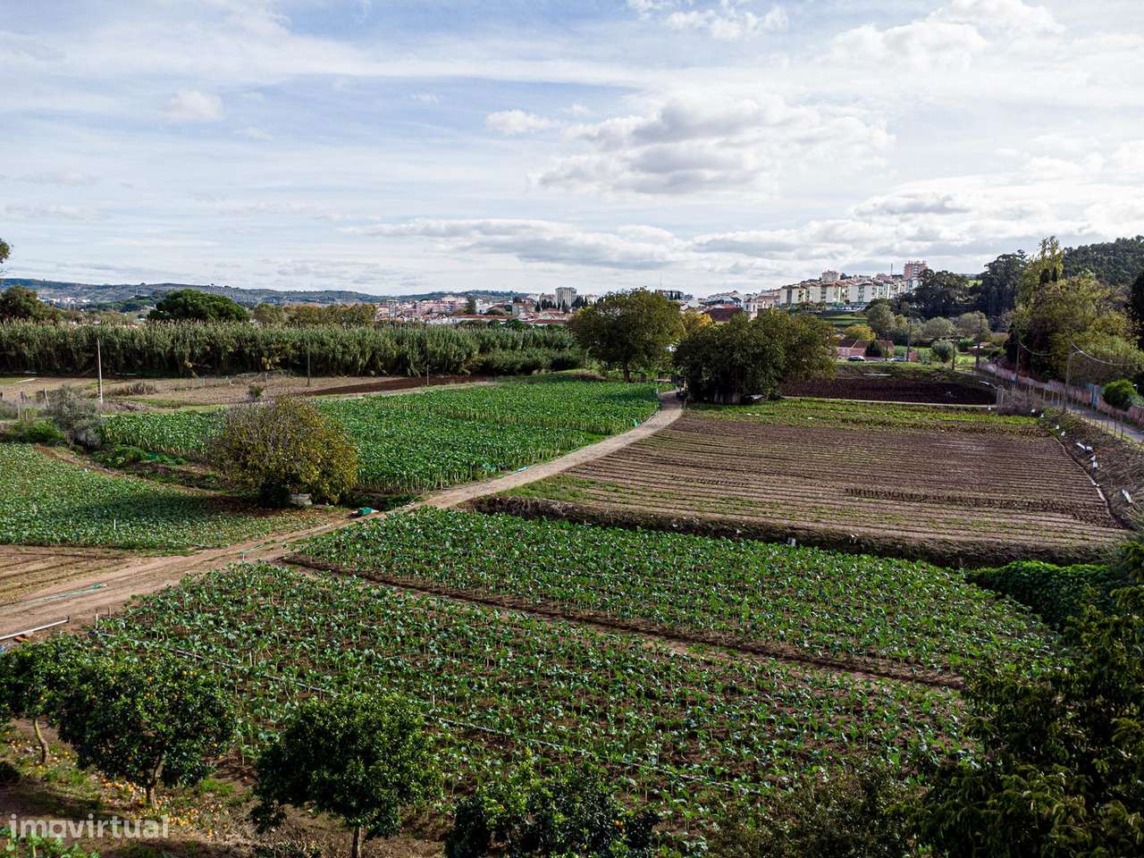 A Quinta da Repina, 18 660 m2 em cidade, no Barro em Loures-10