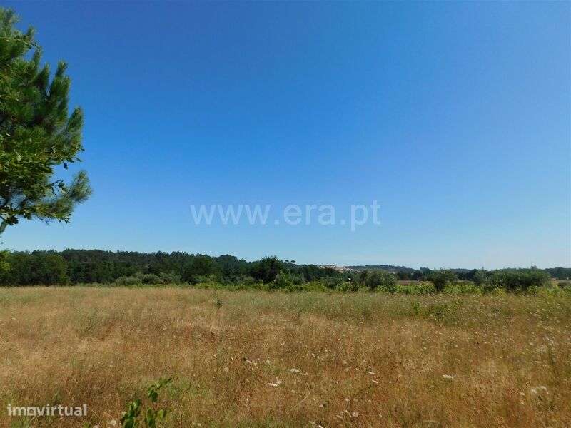 Terreno / Seia, Pinhanços - Grande imagem: 3/6