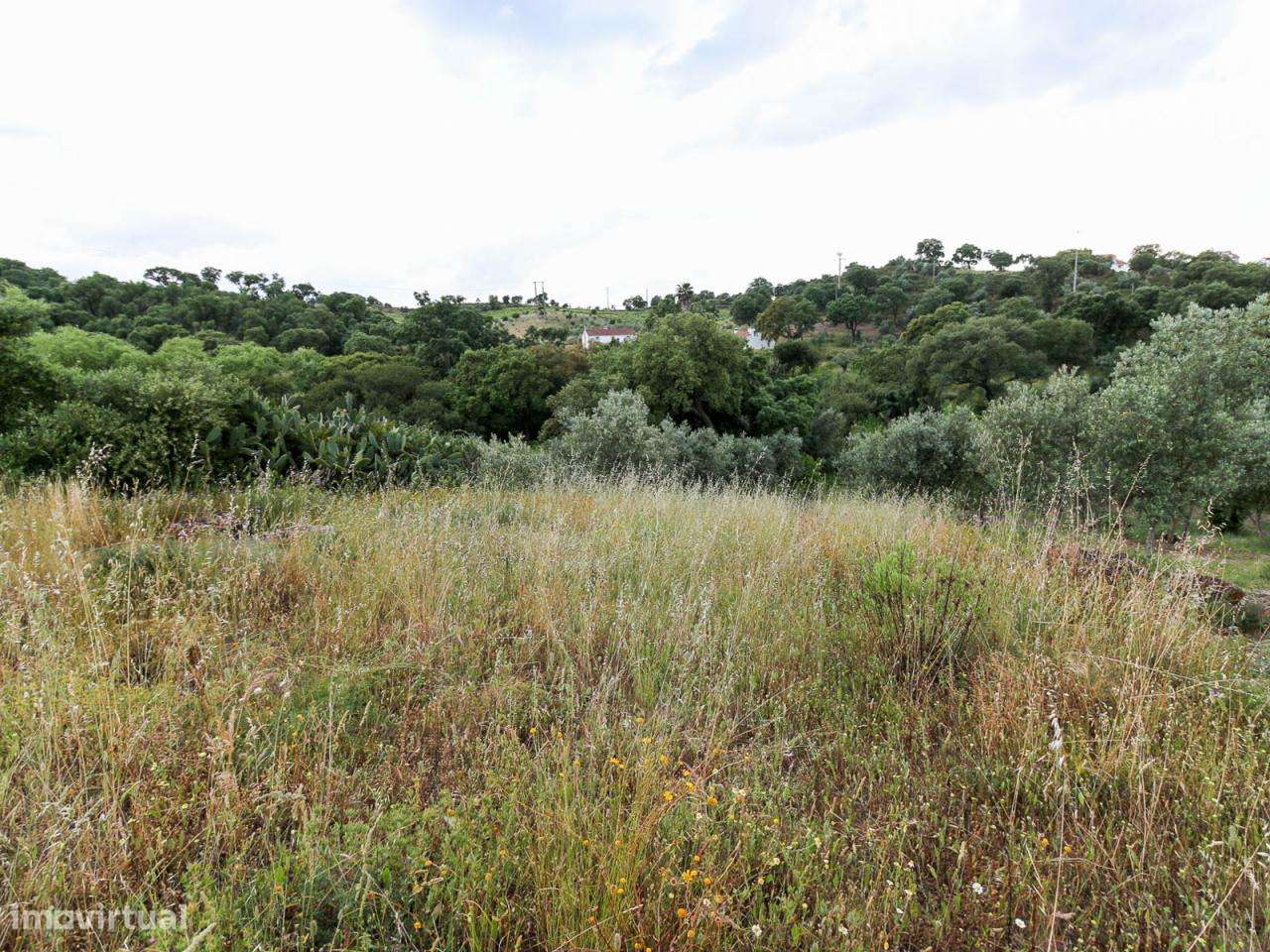 Terreno para Construção de Moradia na Chamusca - Grande imagem: 5/6