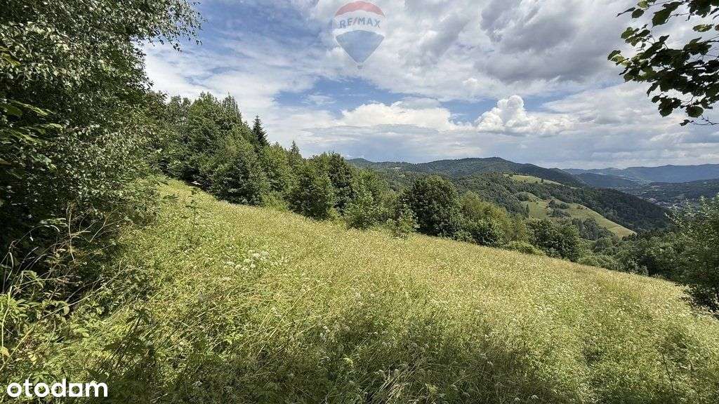 Nieruchomość gruntowa z widokiem na Gorce - Pełny obrazek: 5/6