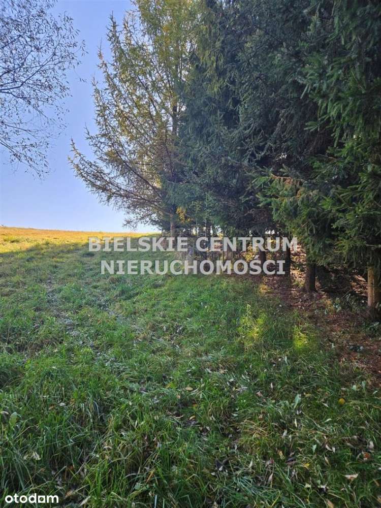 Działka, 10 300 m², Lipowa-11