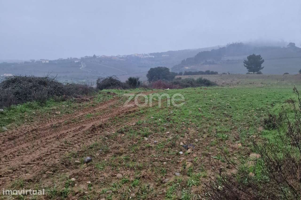 Terreno rústico , Murça - Grande imagem: 4/9