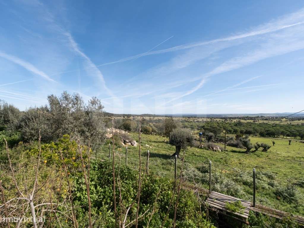 Terreno Rústico EXclusivo: O seu Miradouro Particular no Alentejo (... - Grande imagem: 5/19