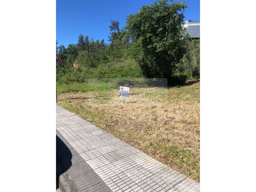 TERRENO COM VIABILIDADE DE CONSTRUÇÃO EM SEVER DO VOUGA - Grande imagem: 5/6