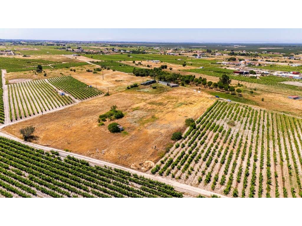 Terreno com 9.260m2 em Palmela com Potencial Construtivo (Zonamento...-5