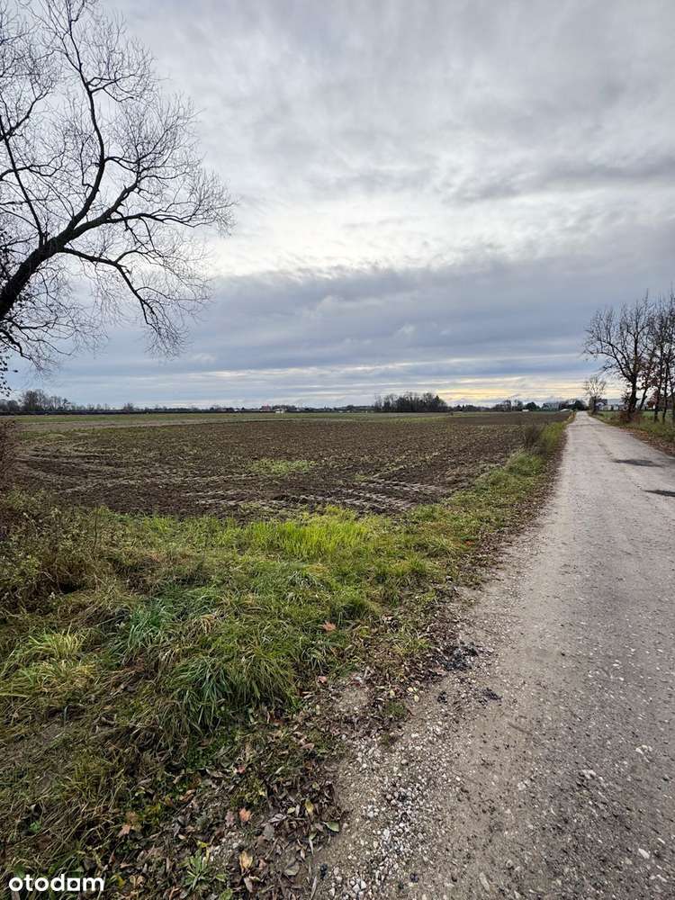 TRZY ATRAKCYJNE DZIAŁKI USŁUGOWO-BUDOWLANE - WOLA MYSTKOWSKA (WYSZKÓW)-5