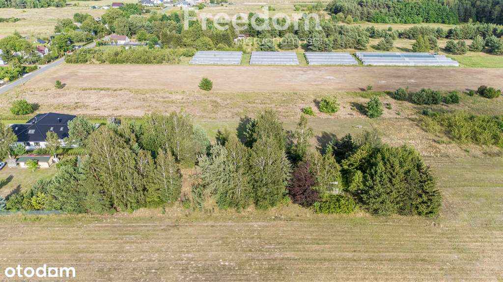 Działka 2500 m² – Buczynów, blisko Góra Kalwaria - Pełny obrazek: 5/10