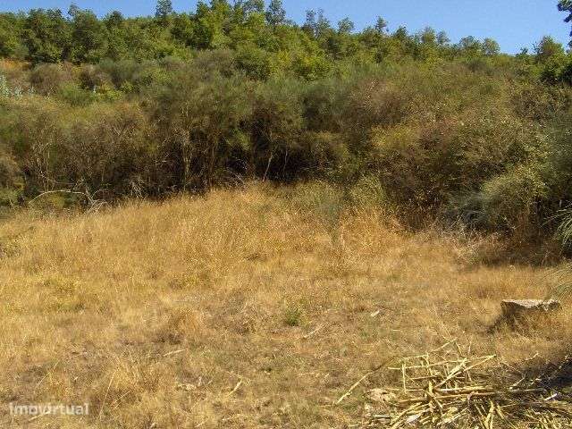 Terreno com 1.500m2 em Aboim - Fafe - Grande imagem: 4/6
