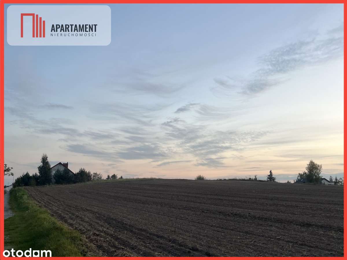 Działki z WZ - Zielonczyn - Pełny obrazek: 1/5