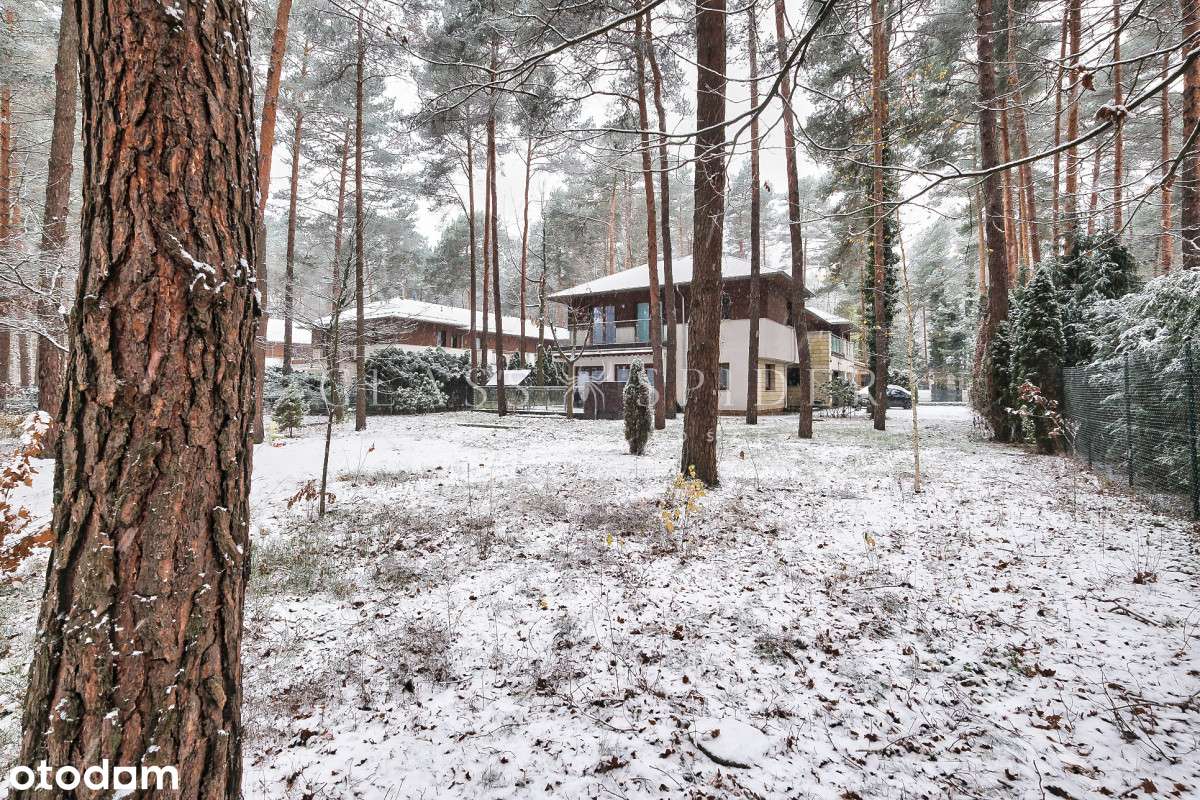 ⚡Bliźniak⚡W sosnowym lesie⚡Idealna lokalizacja⚡-2