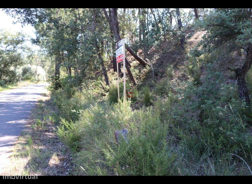 Terreno - Grande imagem: 3/10