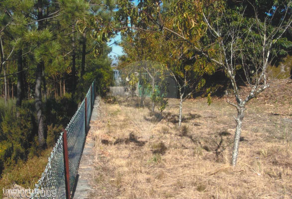 Terreno  para venda-9