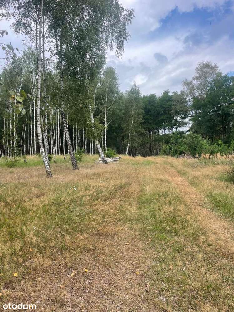 Działki budowlane w Klotyldzinie - Pełny obrazek: 4/9