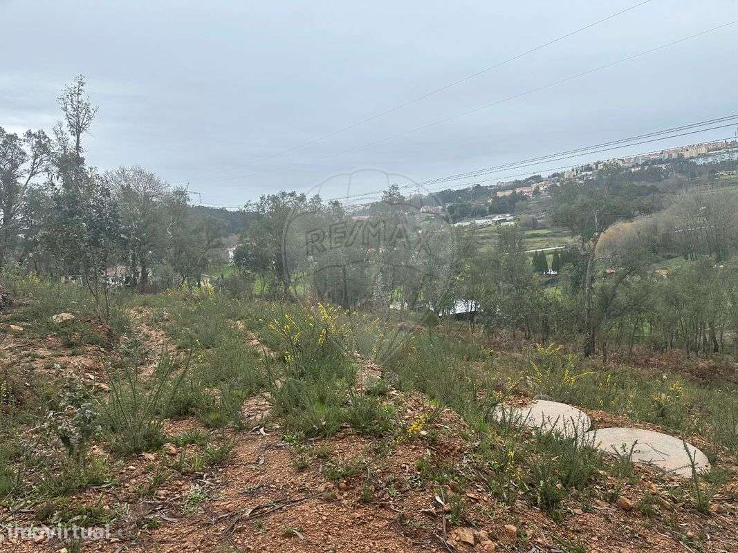 Terreno  para venda - Grande imagem: 5/8