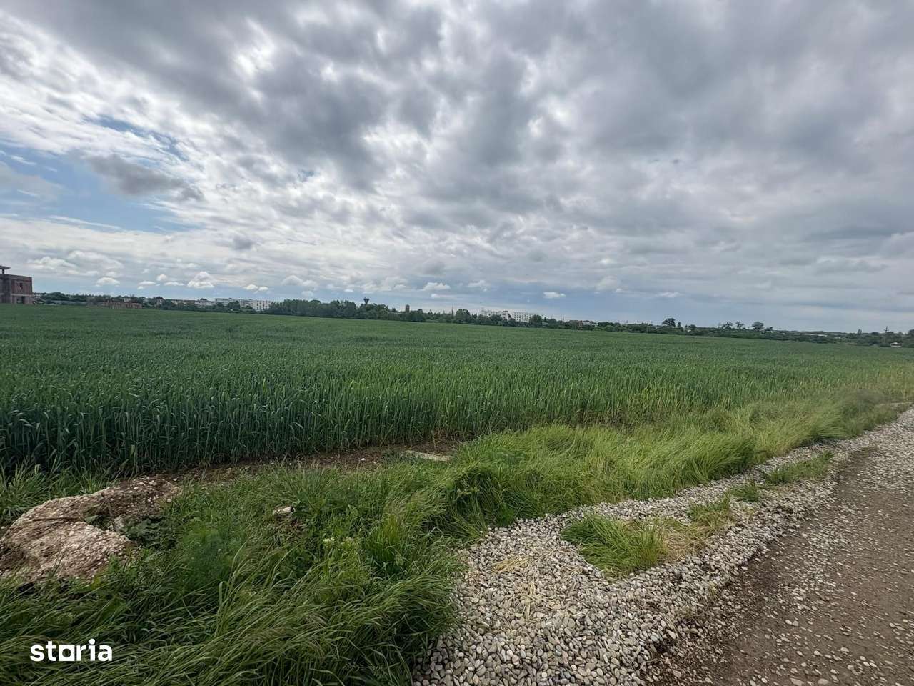 Oferta! Teren 5.000mp in comuna Balotesti cu deschidere la lac - Imagine principală: 4/6