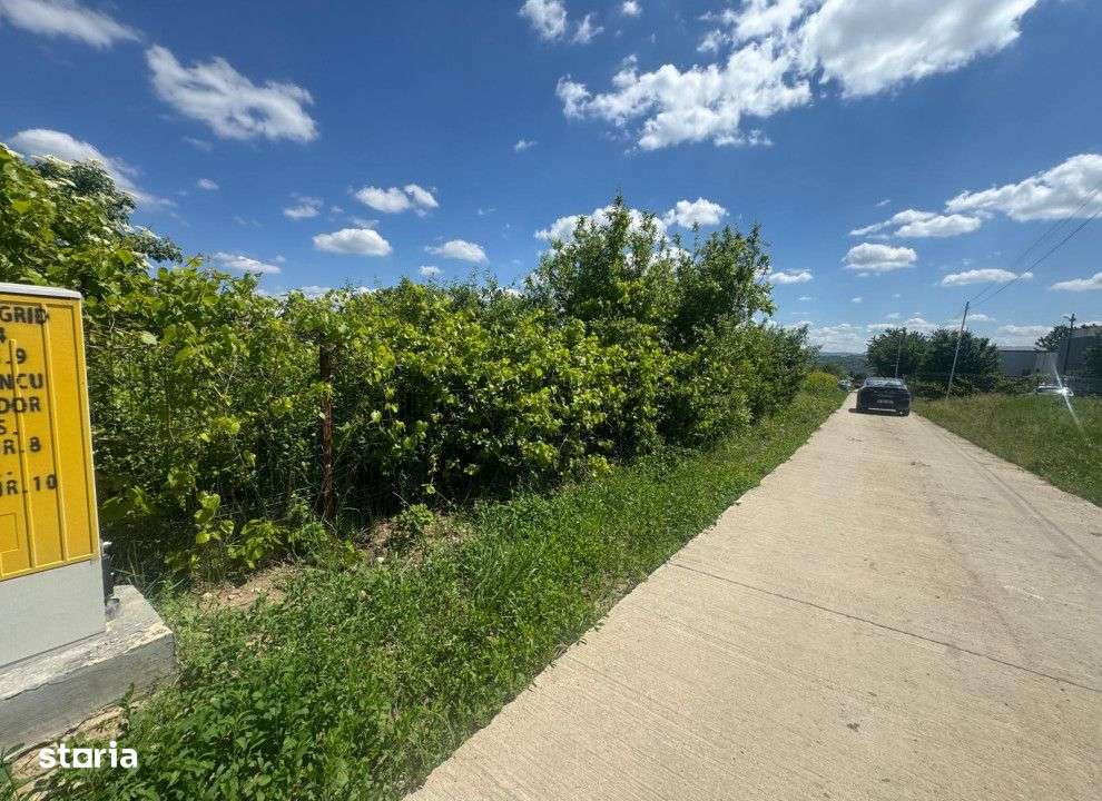 Teren intravilan Copou , 671 metri Cod:158590 - Imagine principală: 2/6