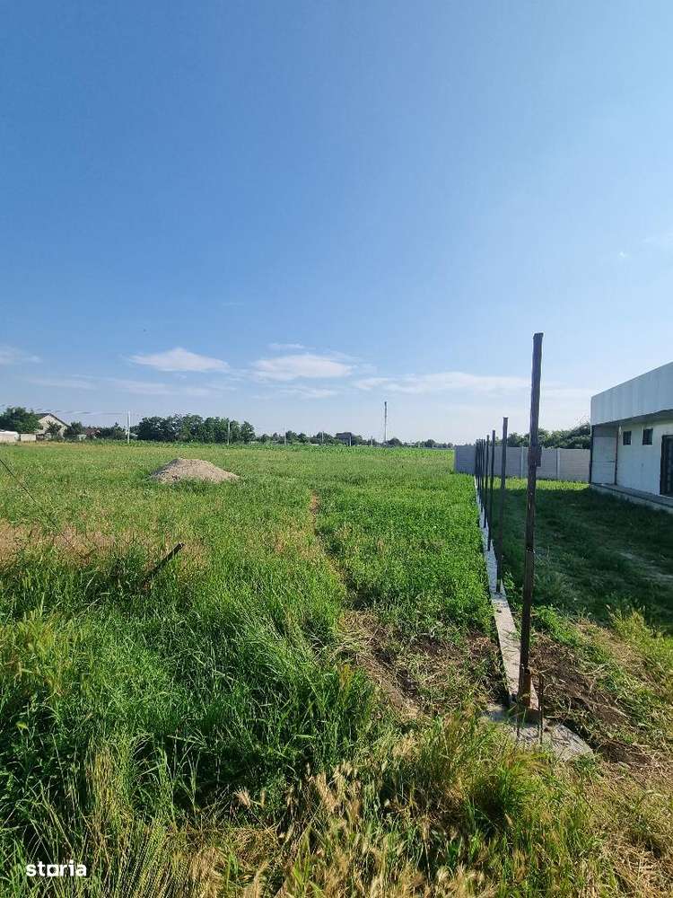 Teren Vadu Pasii pentru constructie casa ! - Imagine principală: 2/4