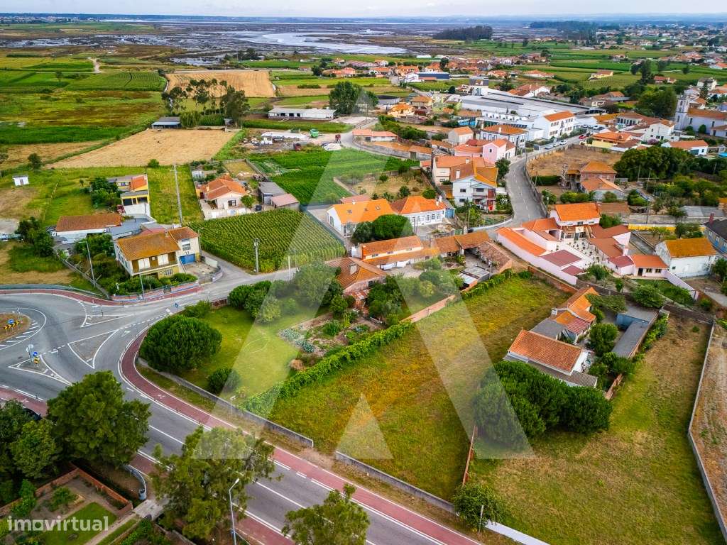 Terreno construção moradia - Murtosa - Ria de Aveiro-12