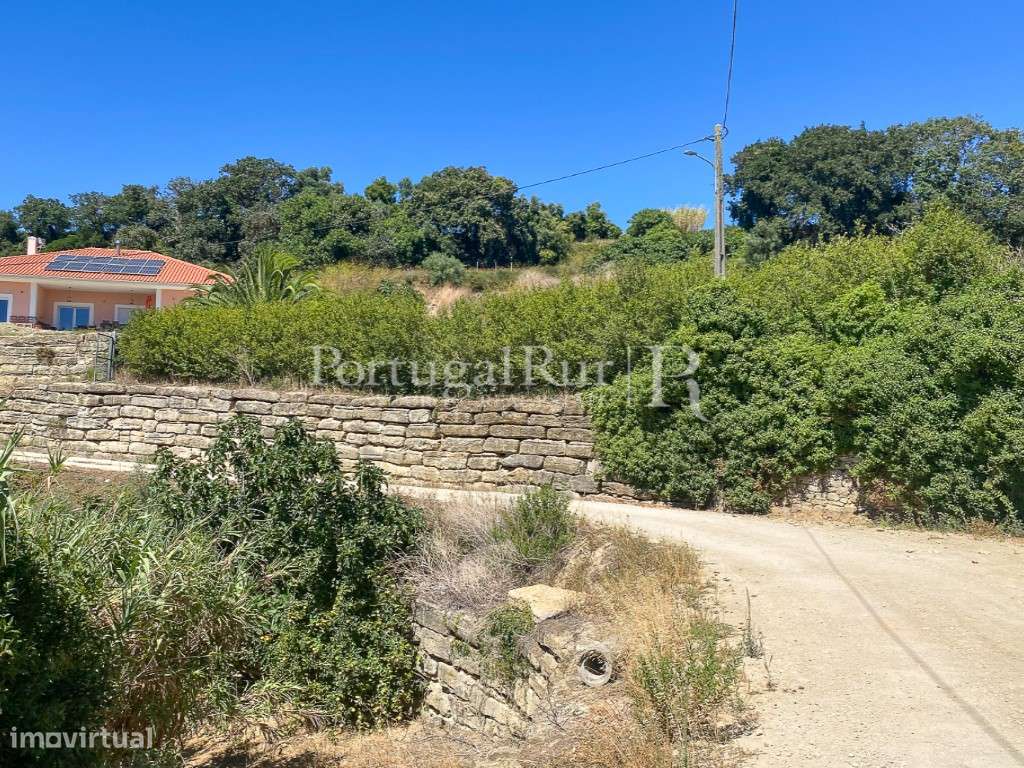 Complexo Agricola com 35.640 m² e 1.907 m² de área de construção-39