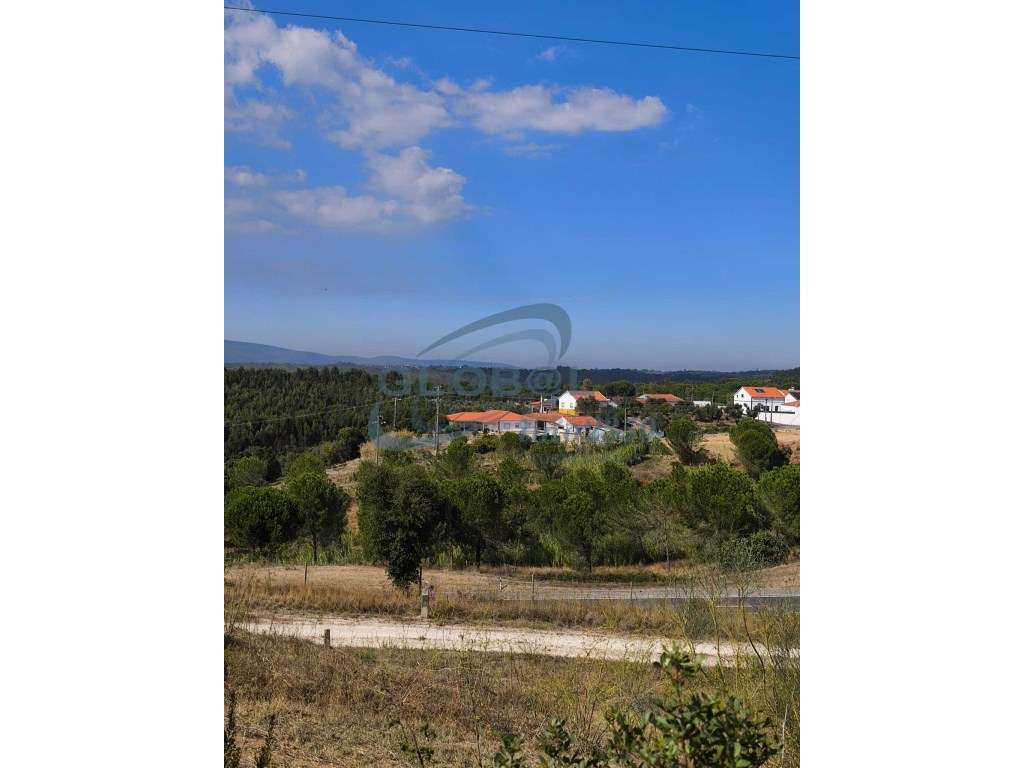 Terreno Venda Torres Novas - Grande imagem: 4/12