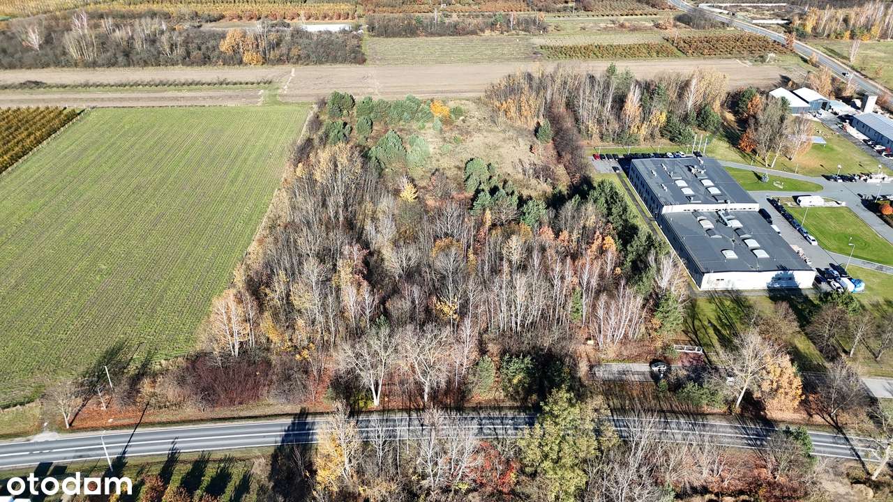 Grunt pod produkcję i usługi na wjeździe do Tarczyna, niecałe 2km odS7-7