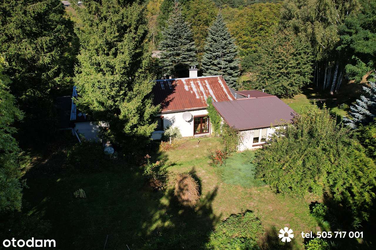 Dom z garażem, duża działka pod Aleksandrowem Kujawskim - Pełny obrazek: 5/20