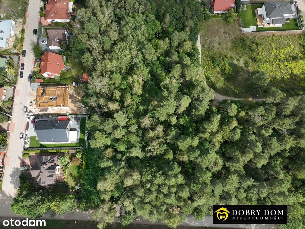 Działka w lesie z możliwością  zabudowy - Pełny obrazek: 5/5