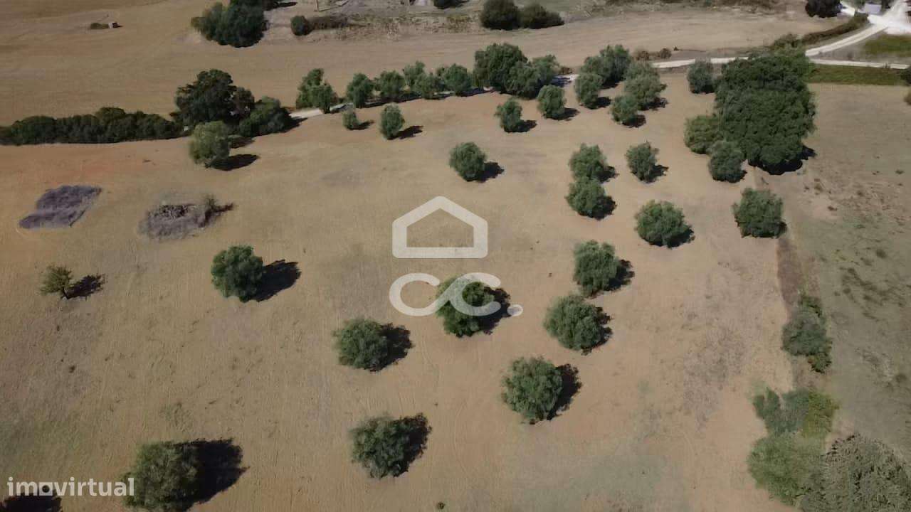 Terreno Rústico com 25.240 m² em Ferras, Gavata, Torres Novas – RAN-28