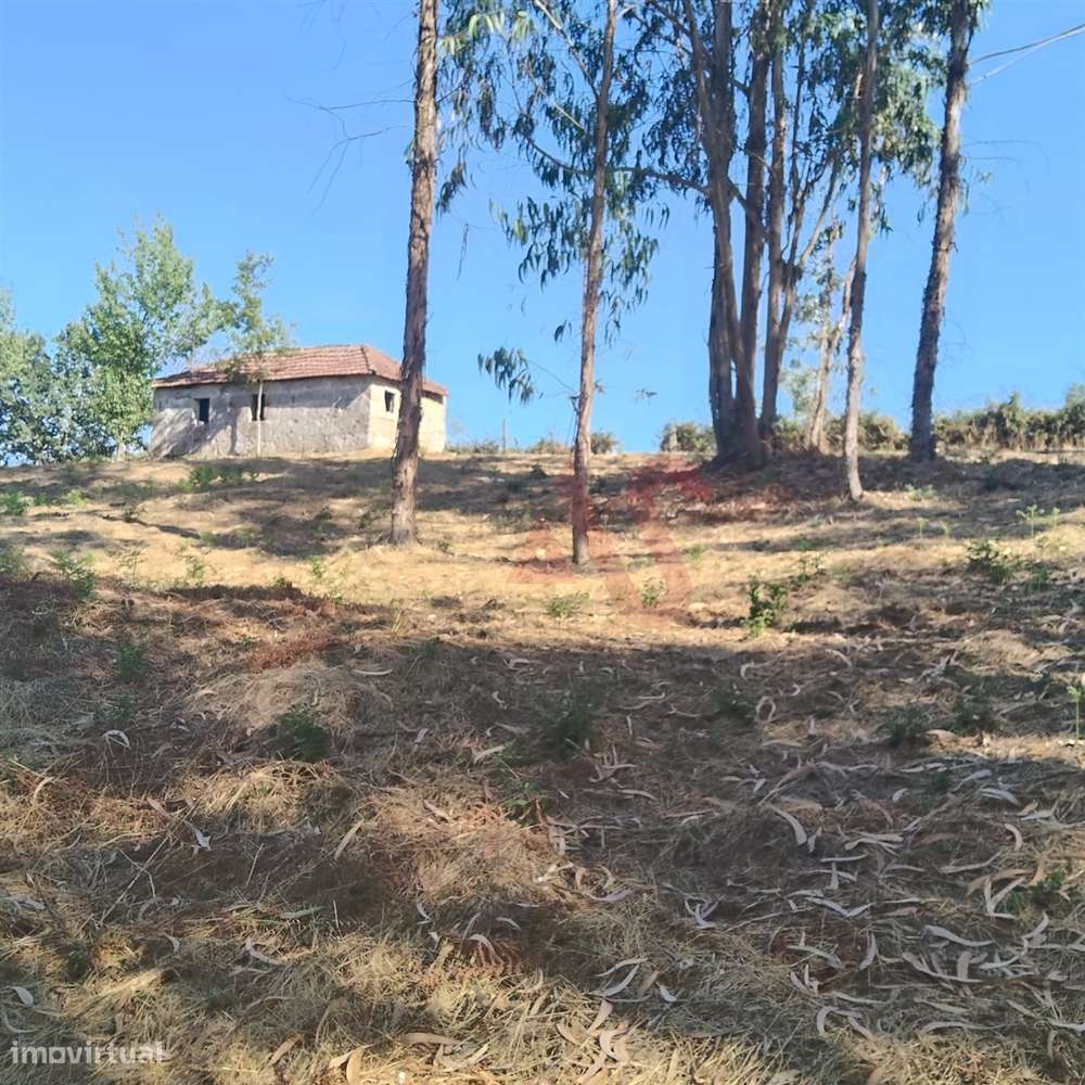 Moradia T1 para Reconstrução com Terreno de 22.000 m² – Constance, Mar - Grande imagem: 5/14