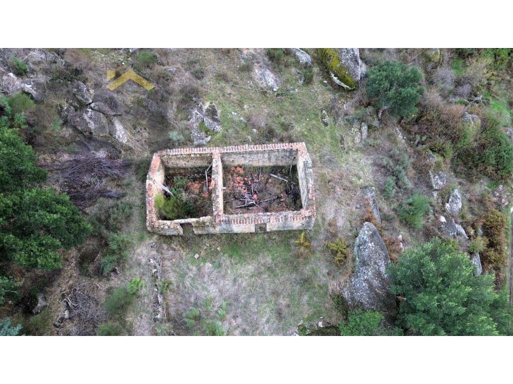 Quinta com 13.750m2 para venda em Cafede! - Grande imagem: 3/15