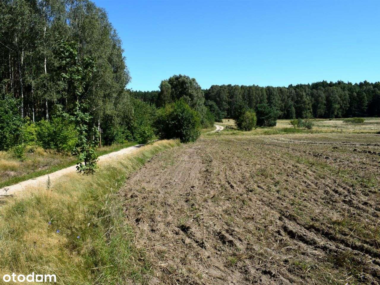 Działka rolna - Ostroróg-14