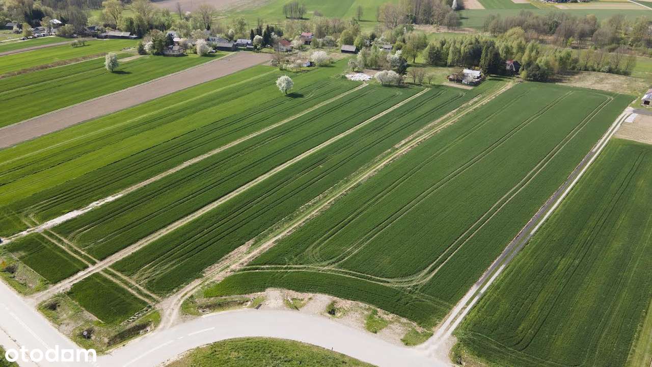 Działka budowlana, 854m², blisko lasu i rzeki, Niedrzwica Duża - Pełny obrazek: 3/7