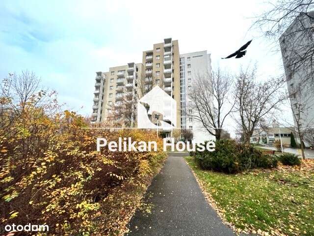 Przytulne mieszkanie na zielonym osiedlu.-7