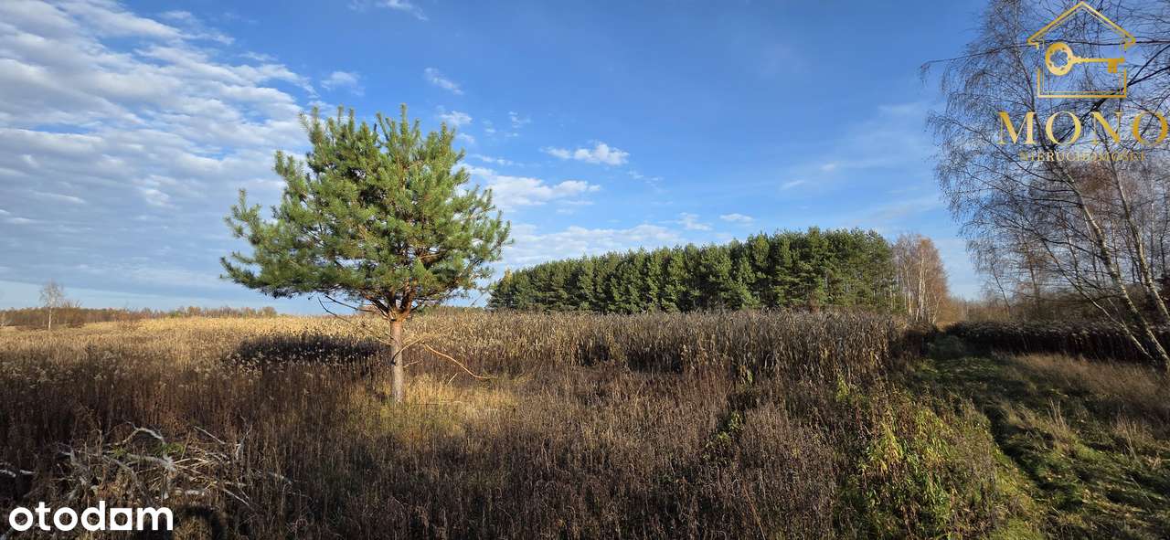 Działka 1,61 ha ok. 10 km od Buska-Zdrój-8