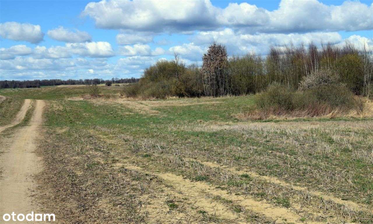 Działka rolna - Drawsko Pomorskie - Pełny obrazek: 5/18