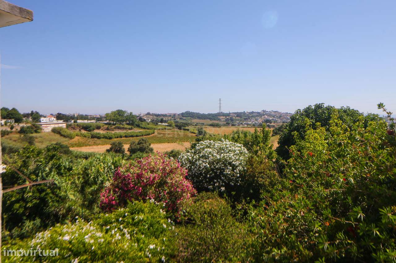 Moradia de Charme de 1926 com Jardim Centenário – Uma Oportunidade Úni-53