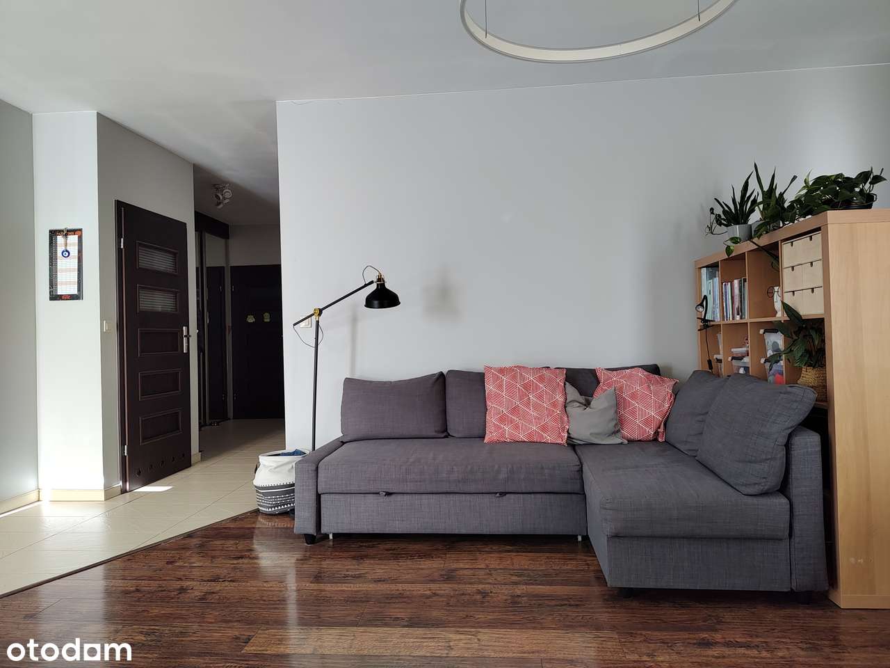 K-ce-Dąb-ul Baildona-3p. -3100zł  ta cena obejmuje miejsce parkingowe - Pełny obrazek: 2/9