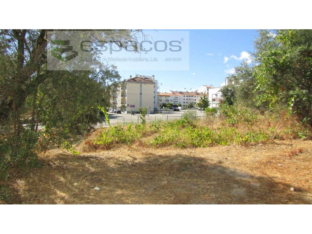 Lote terreno, Alcains - Grande imagem: 4/5