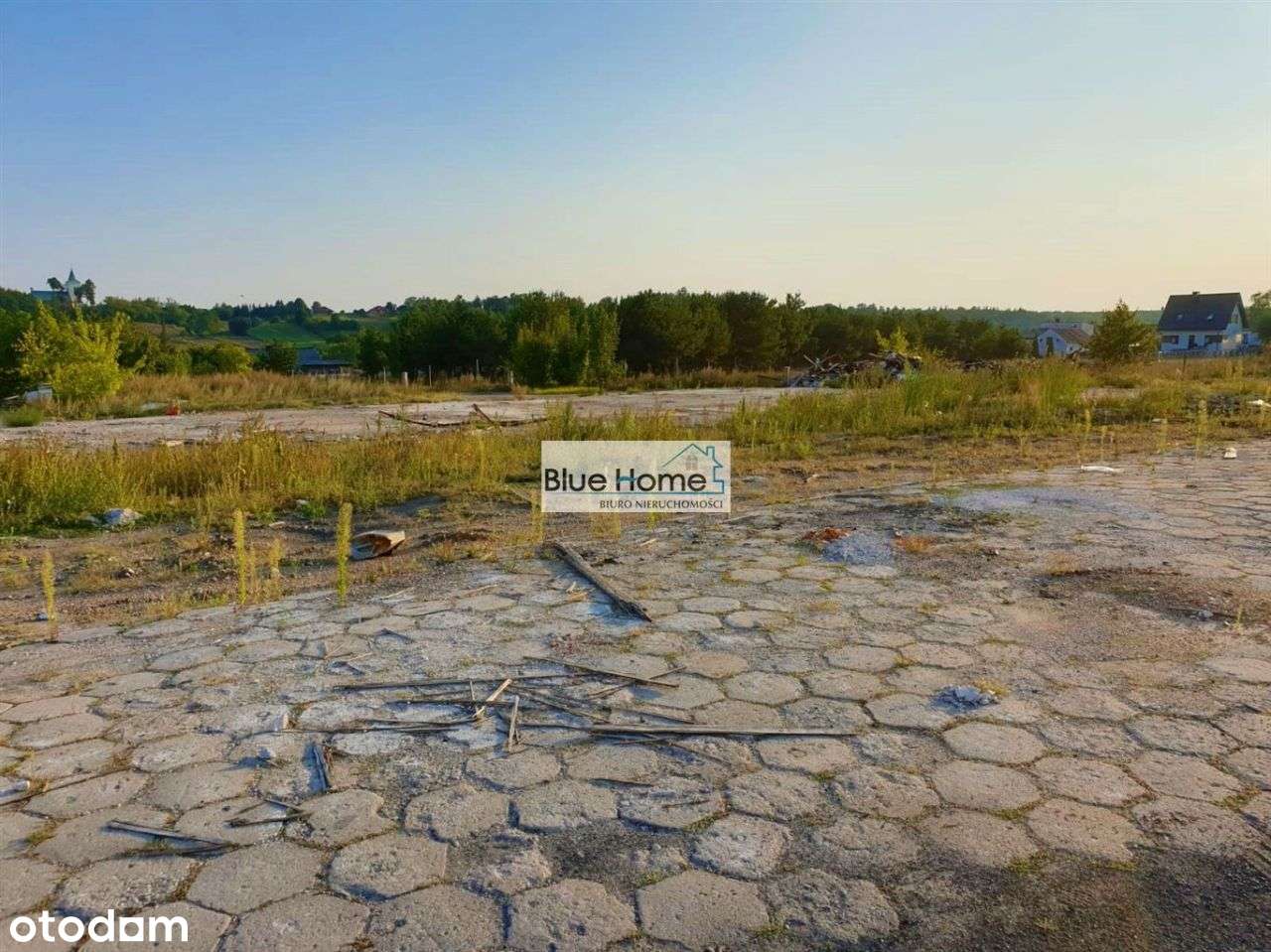 Tylko U Nas Działka Inwestycyjna - Pełny obrazek: 4/6