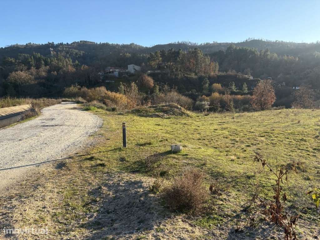 Quinta com casa em pedra para recuperar-17