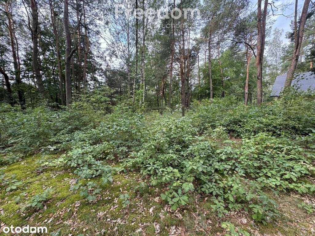 Okazja piękna działka blisko rzeki Pacynki - Pełny obrazek: 5/19