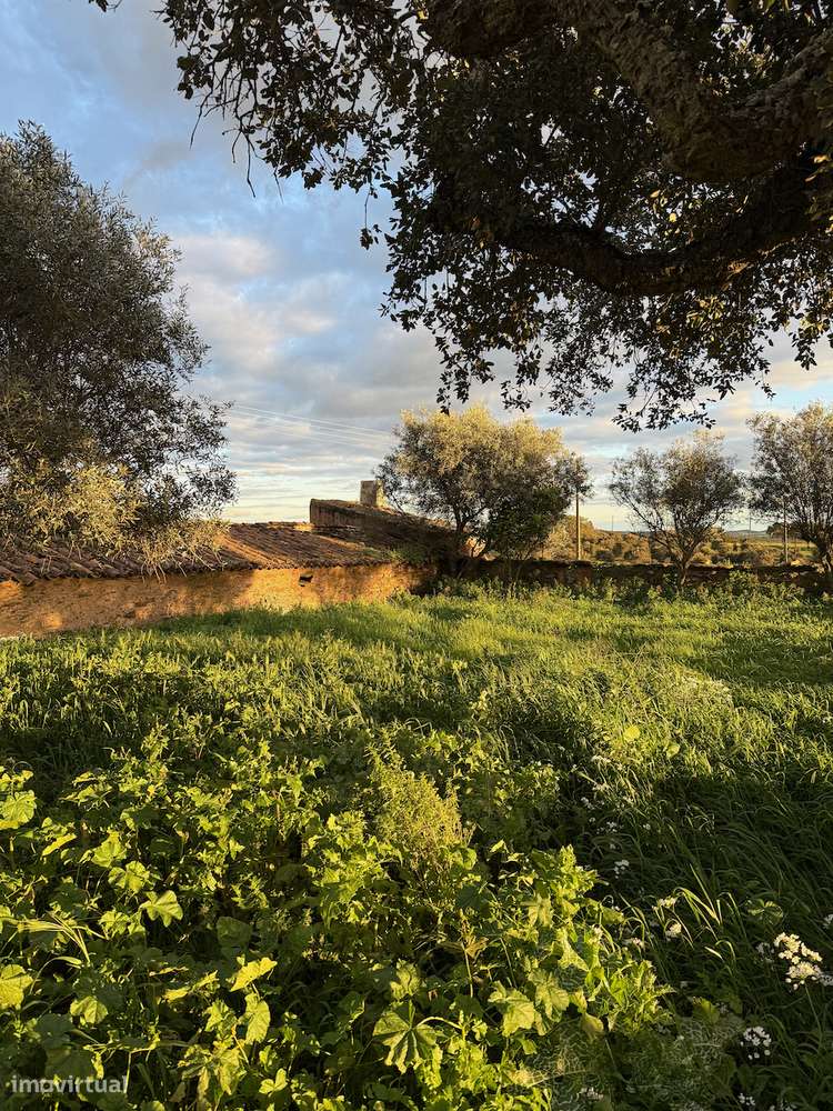 MONTE ALENTEJANO NO ALANDROAL, ÉVORA-51