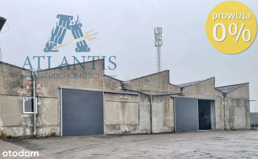 Hala przemysłowo-magazynowa w świetnym położeniu - Pełny obrazek: 5/20