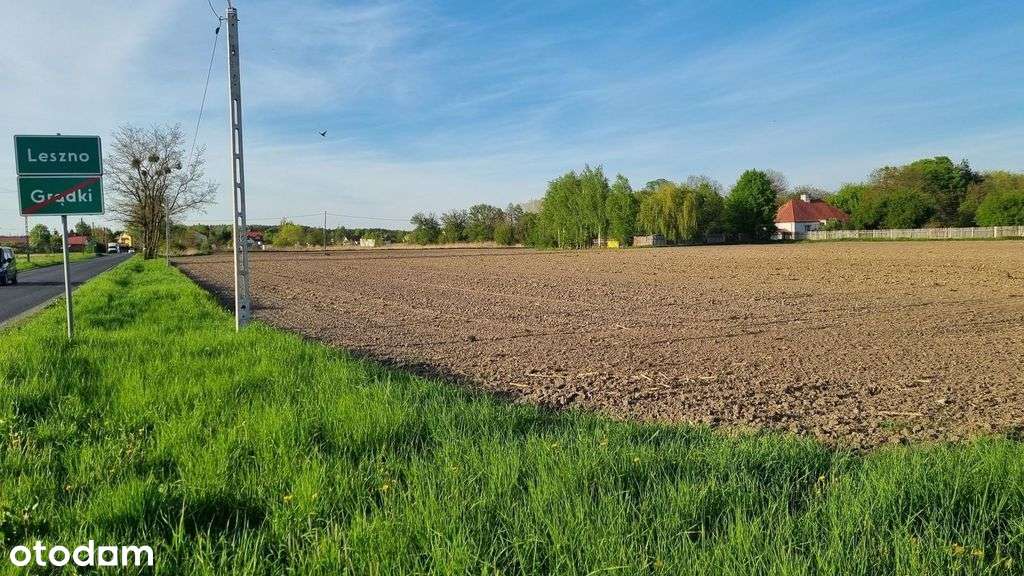 Dogodna lokalizacja, działki w Lesznie!-7