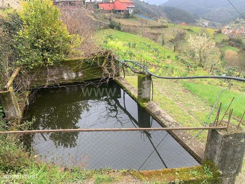 Terreno / Baião, Teixeira e Teixeiró - Grande imagem: 1/10