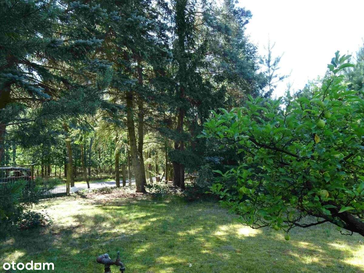 Okazja! Działka w pobliżu jeziora-0