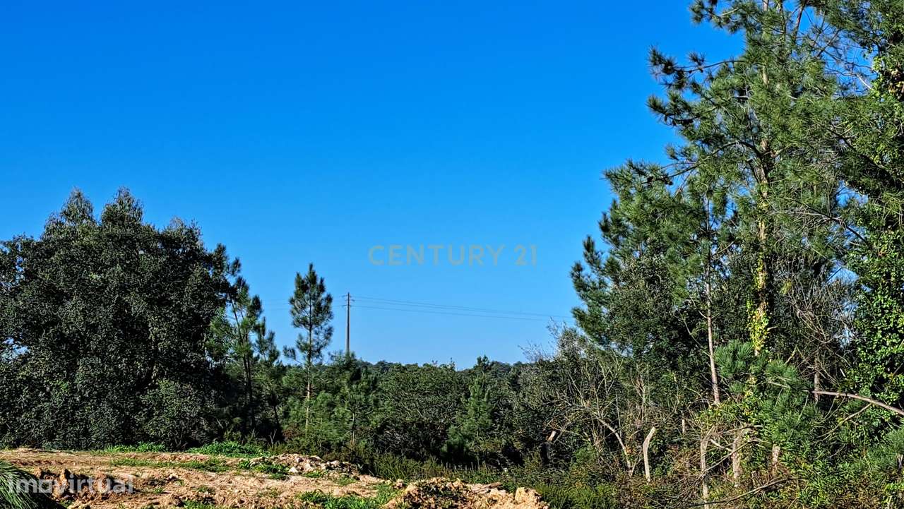 Terreno rústico em fase de legalização - Grande imagem: 4/4