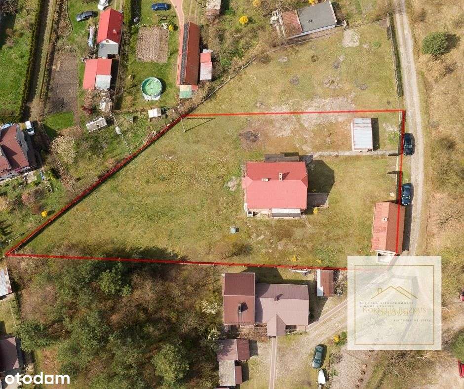 Dom w doskonałej lokalizacji Nowa Dęba - Pełny obrazek: 4/8